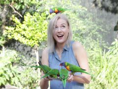lorikeets-show-1_edited