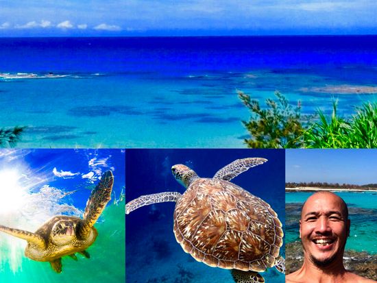 ウミガメシュノーケリング 遭遇率100 ウミガメと一緒に奄美の海を泳ぐ 午前または午後プラン マングローブカヌー付きも 笠利町 By 奄美ネイチャーガイド 奄美大島の観光 遊び 体験 レジャー専門予約サイト Veltra ベルトラ ウミガメシュノーケリング 遭遇率100 ウミガメと一緒に奄美の海を泳ぐ 午前または午後プラン マングローブカヌー付きも 笠利町 By 奄美ネイチャーガイド 奄美大島の観光 遊び 体験 レジャー専門予約サイト Veltra ベルトラ