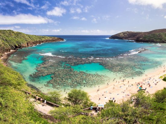 シュノーケルセット貸出しサービス　ハナウマ湾まで車で5分の好立地！シュノーケリングセットをレンタルしたい方におすすめ＜ココマリーナショッピングセンター＞