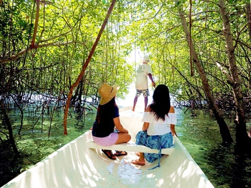 20190529053240_615017522_1120_9