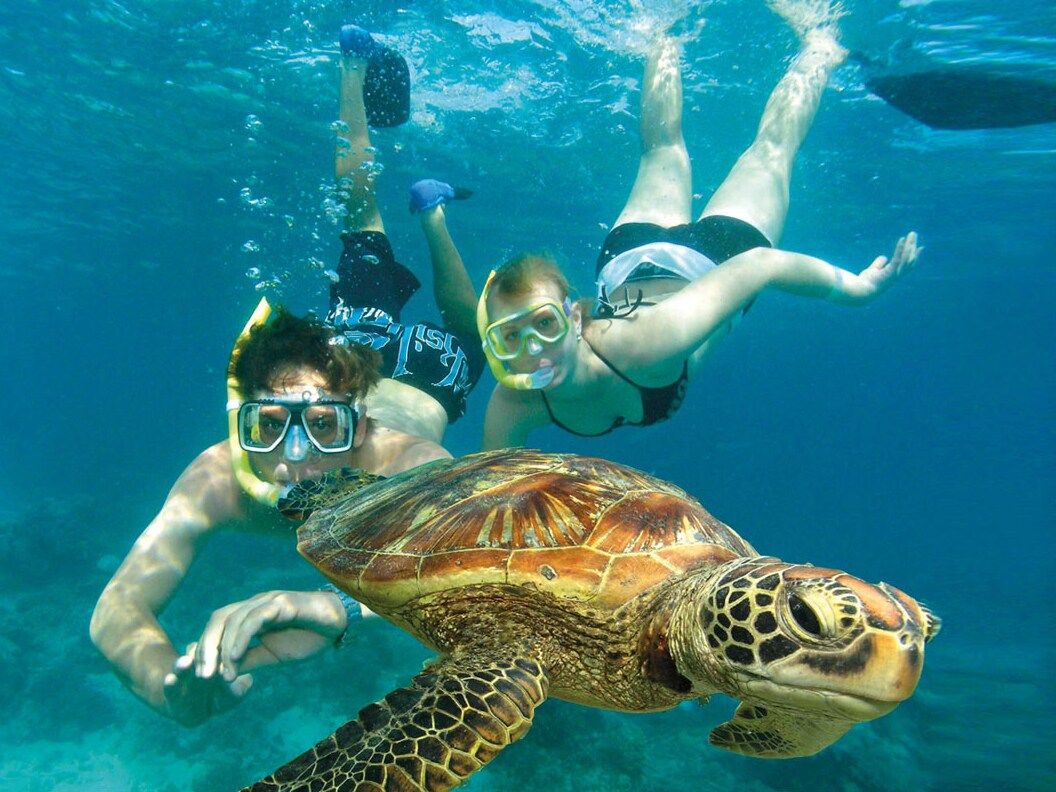 20190711025408_826687901_10815