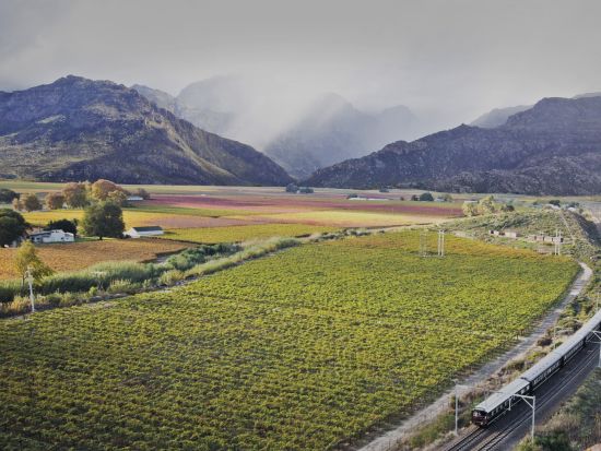 【ケープタウン発プレトリア着 3泊4日】 南アフリカが誇る豪華列車「ロボス・レイル」の旅＜駅発着／英語＞