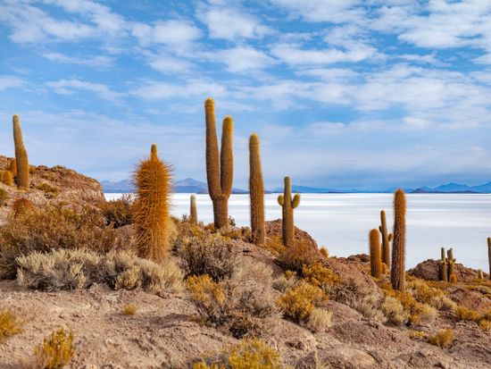 Uyuni-diego-aguilar-large