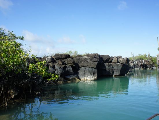 世界遺産ガラパゴス諸島トルトゥーガベイ＆ロベリア島クルーズ終日観光ツアー＜日・月・水・金催行／1日／英語ガイド／プエルトアヨラ発＞