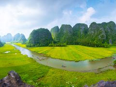 shutterstock_1145444087-crop