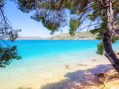 shutterstock_1161799090