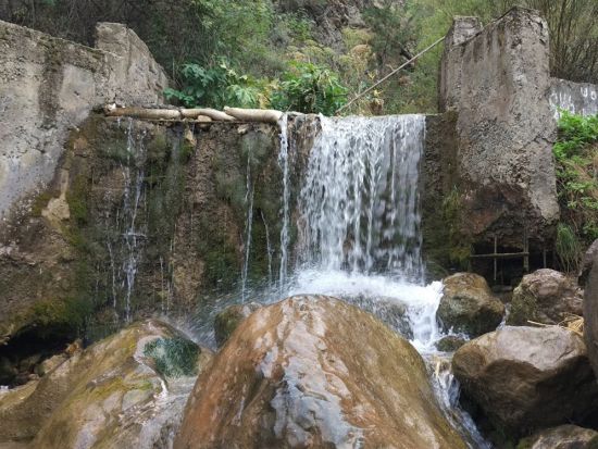 【1泊2日／プライベート】知られざる魅力に迫る！ザーミン国立公園ツアー！＜日本語ガイド／タシュケント発＞