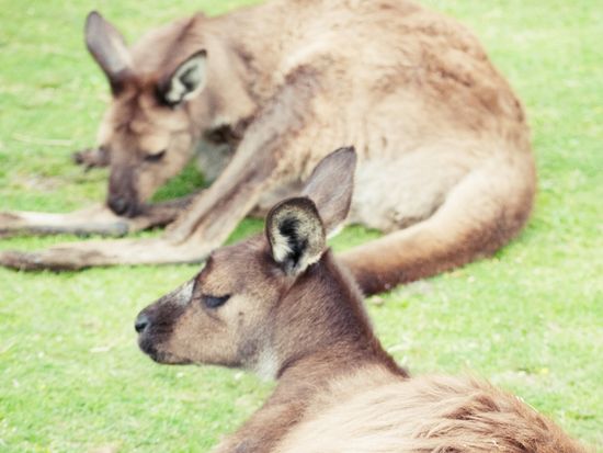 20171104153444_723553815_0