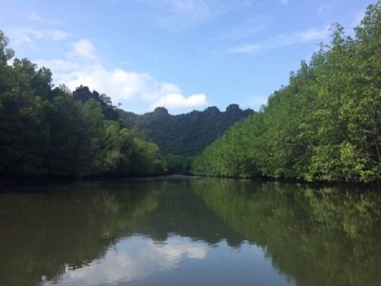 日本語ネイチャーガイドと行く！ジオパーク・ランカウイ・マングローブクルーズ・ツアー　フォトスポットのご案内もガイドにお任せ ＜午前／昼食付き／ランカウイ発＞