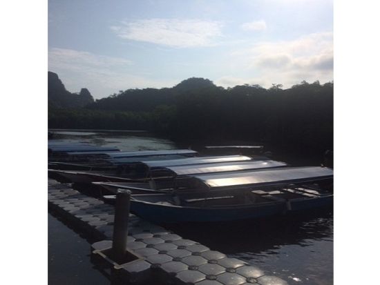 日本語ネイチャーガイドと行く！ジオパーク・ランカウイ・マングローブクルーズ・ツアー　フォトスポットのご案内もガイドにお任せ ＜午前／昼食付き／ランカウイ発＞