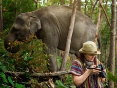 Thailand_Phuket_Elephant Sanctuary Encounter