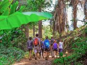 Khao Yai National Park Thailand