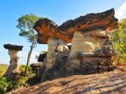 Sao Chaliang Pha Taem National Park Thailand