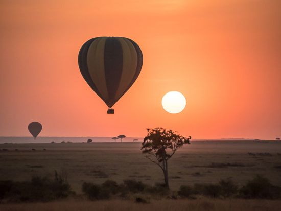 アフリカの大地を空から眺める感動体験☆マサイ・マラ国立保護区・気球フライト！＜早朝／送迎付き／朝食付／マサイマラ発＞
