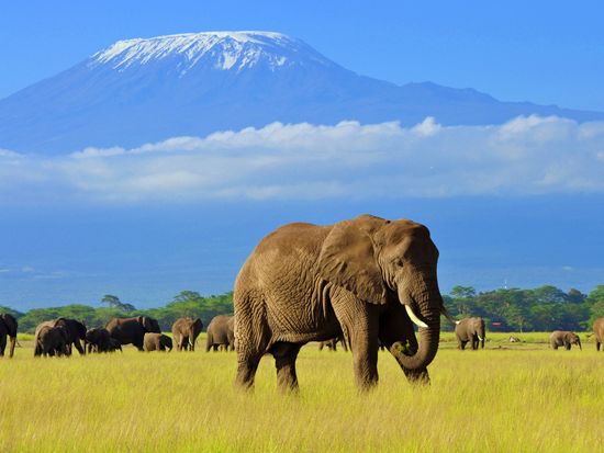 Africa_Kenya_Amboseli_shutterstock_1110105137