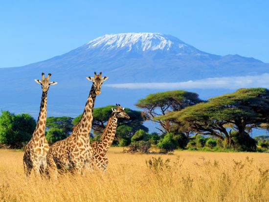 Africa_Kenya_Amboseli National Park_shutterstock_662889487