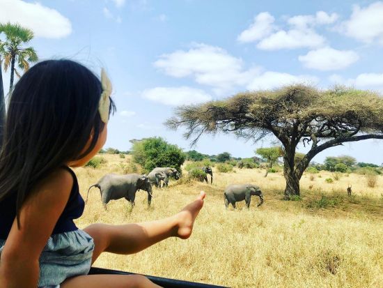 【ナイロビ発着 2泊3日】アンボセリ国立公園サファリツアー ゲームドライブ3回＜日本語／混載／空港または市内発着＞