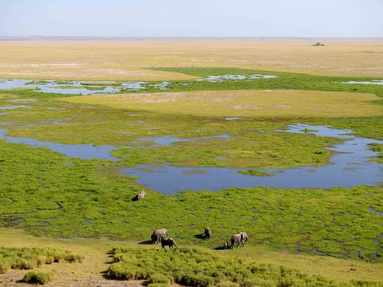 View of the Marsh from Obsrervation Hill -  Amboseli Serena