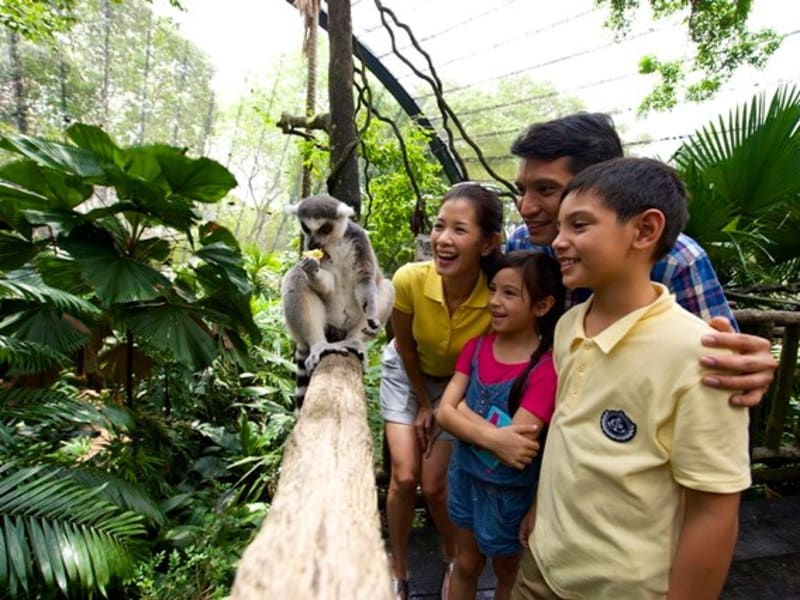 3大動物園 シンガポール動物園 リバーサファリ ナイトサファリ 子どもとシンガポール シンガポールの観光 オプショナルツアー専門 Veltra ベルトラ
