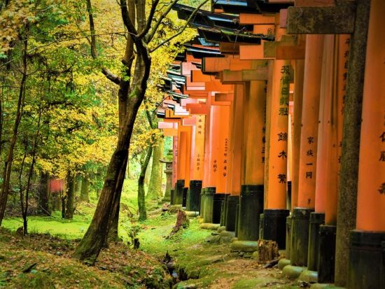 伏見稲荷ウォーキングツアー 裏参道からお山巡り ミステリーガイドと行く伏見稲荷大社の七不思議解明プラン 日本語ガイド同行 稲荷駅 京都の観光 遊び 体験 レジャー専門予約サイト Veltra ベルトラ 伏見稲荷ウォーキングツアー 裏参道からお山巡り ミステリーガイドと行く伏見稲荷大社の七不思議解明プラン 日本語ガイド同行 稲荷駅 京都の観光 遊び 体験 レジャー専門予約サイト Veltra ベルトラ