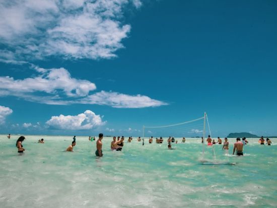 サンドバー天使の海　シュノーケリング＆ウミガメウォッチクルーズ　船上のBBQグリルで焼くハンバーガーランチ付き！＜午前／日本語クルー＞