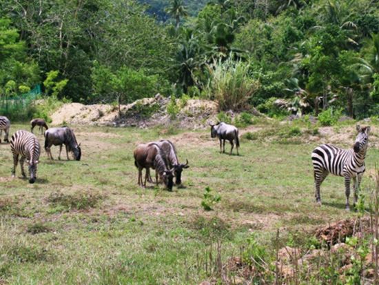 20190131011703_1960994007_11132_9