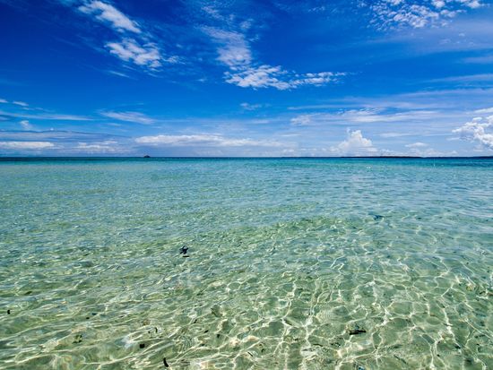 shutterstock_600926990