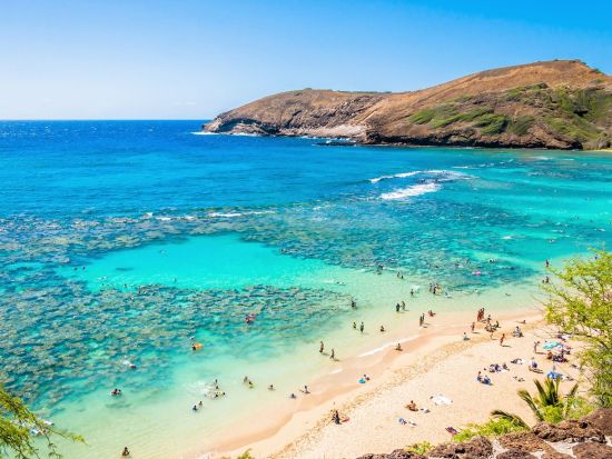 バン貸し切りチャーター　観光も海も満喫！自由自在にハワイを楽しむ究極のプライベートツアー　ハナウマ湾プランあり＜1～14名／6～13時間／日本語ガイド＞