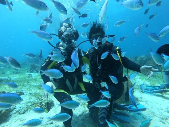 体験ダイビング マリンサンクチュアリーで潜る離島 ヒルトゥガン島またはオランゴ島プランが人気！＜ボート／1ダイブ＞by オールブルー