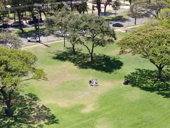 ドローン操縦・空撮体験　米国FAA公認インストラクターによるプライベート操縦レッスン＆カピオラニ公園の上空からダイヤモンドヘッドを動画撮影して楽しめる！