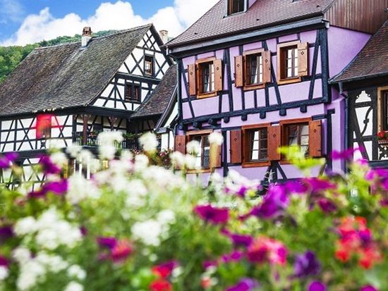 「ワイン街道の真珠」アルザスの美しい村々をめぐる1日ツアー ＜英語ドライバーガイド／ストラスブール発＞の写真5