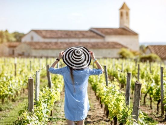 ボルドー メドック地区ワインツアー　3軒のシャトーを訪問 ＜3～11月／試飲付き／英語ドライバーガイド／ボルドー発＞