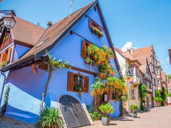 アルザス地方 日帰り観光ツアー　エギスハイム＆リクヴィール＆ワイナリー訪問＆オー・クニクスブール城 ＜試飲付き／英語ドライバーガイド／コルマール発＞の写真5