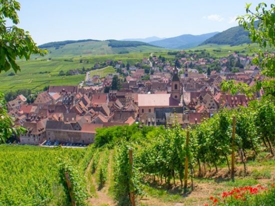 アルザス地方 日帰り観光ツアー　エギスハイム＆リクヴィール＆ワイナリー訪問＆オー・クニクスブール城 ＜試飲付き／英語ドライバーガイド／コルマール発＞