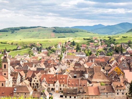 【プライベートツアー】アルザス地方 美しい町を訪れる旅＜英語ドライバーガイド／ストラスブール発＞
