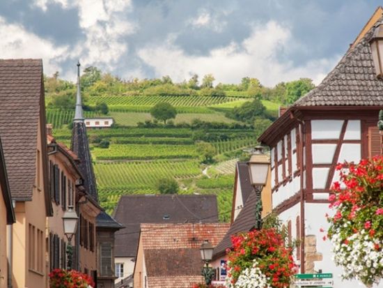 アルザス地方　ワイナリー2軒＆ワイン街道半日ツアー ＜4～10月／試飲付き／英語ドライバーガイド／コルマール発＞