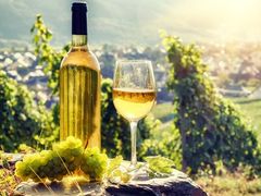 Vin-blanc