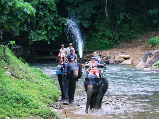 【クラビ発】ラフティング＋象トレッキング or ATV体験 日帰りアドベンチャーツアー＜送迎付／英語ガイド＞