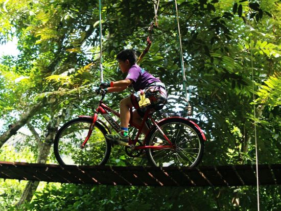 【クラビ発】ジップライン アドベンチャーツアー＜午前 or 午後／送迎付／英語ガイド＞