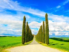 Italy_Tuscany_Val d'Orcia_shutterstock_191467622