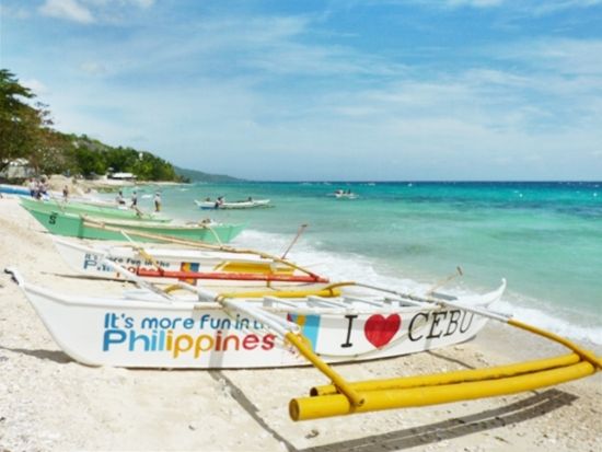 ジンベイザメシュノーケリングツアー　グループや家族旅行におすすめ！片道約4時間を貸切専用車でゆったり快適に＜イタリアンランチ／日本語ガイド／送迎＞