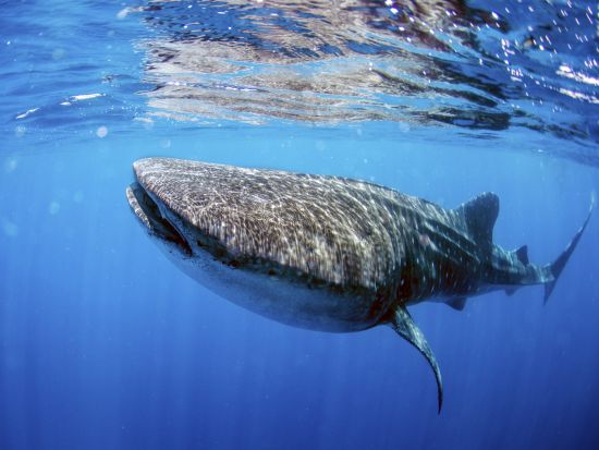 20170906025429_1208881514_2595_9