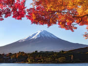 Fuji & autumn leaves, in Kawaguchiko_Fotolia_166963489_Subscription_Monthly_XXL