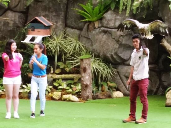 セブサファリ＆アドベンチャーパーク訪問　動物の餌やり体験もできる！ツアー後貸切チャーター（5時間）付きプランあり＜ホテル往復送迎／日本語ガイド／昼食付き＞