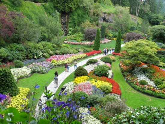 ビクトリア 日帰り観光ツアー　ビクトリアは自由観光 ＜貸切／日本語ドライバー／バンクーバー発＞