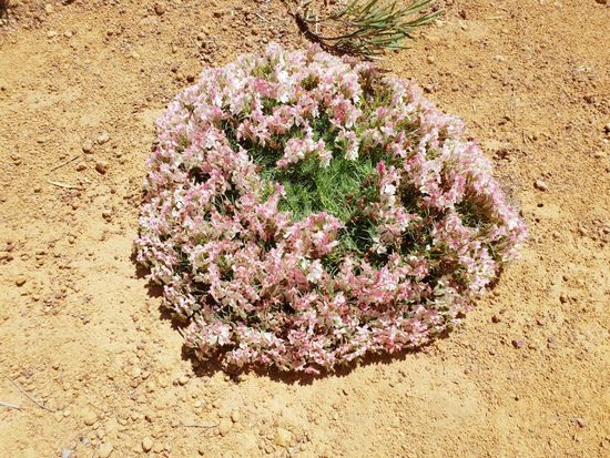 20181007_122446_edited