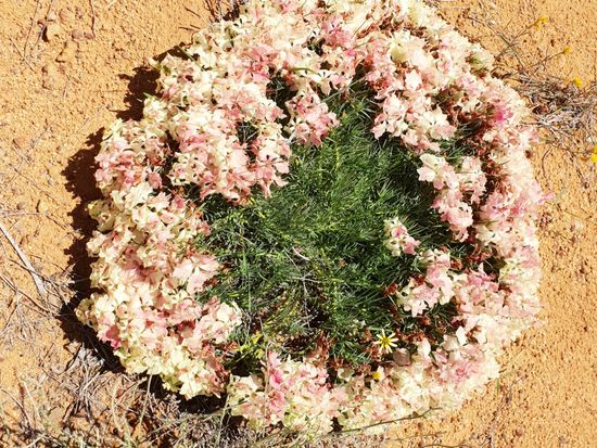 20181007_122421_edited