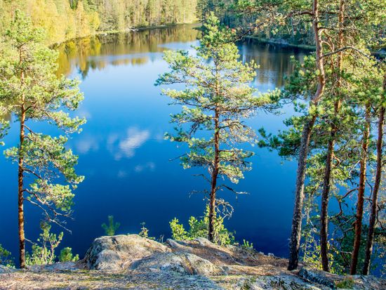 shutterstock_1441328024