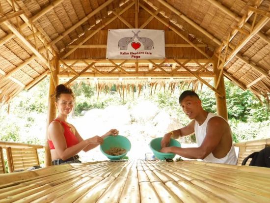 エレファントケアツアー　象のお世話をしながら触れ合える貴重な体験！＜ホテル送迎付／英語ドライバー＞