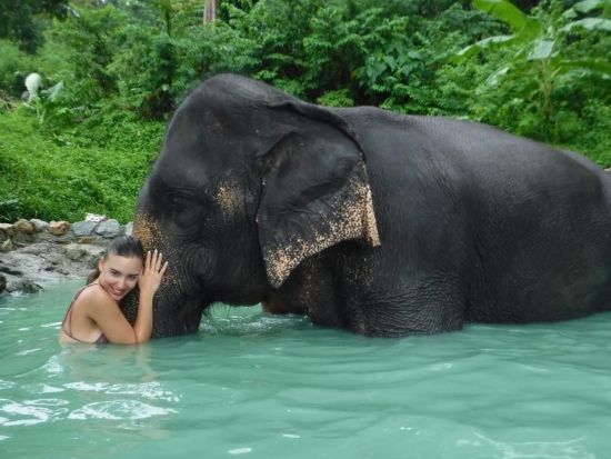 エレファントケアツアー　象のお世話をしながら触れ合える貴重な体験！＜ホテル送迎付／英語ドライバー＞